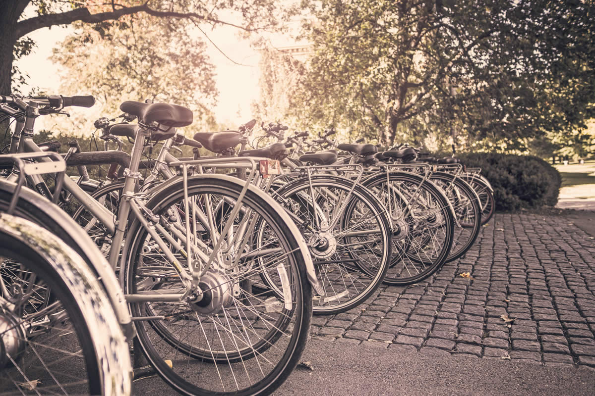 Featured image for “A Boy & His Bicycle”